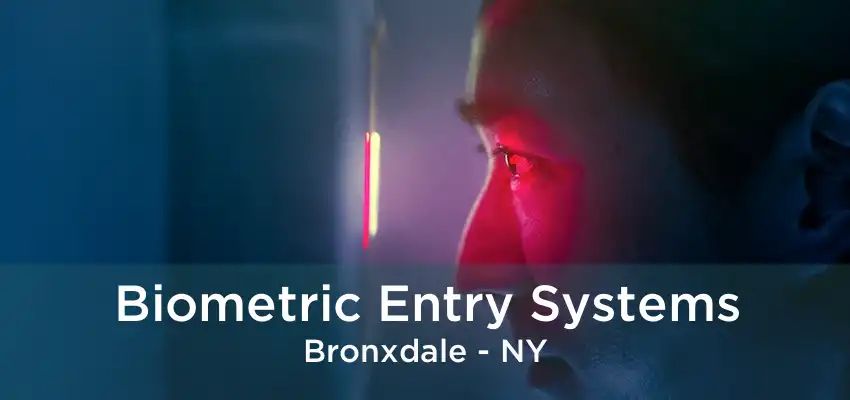 Biometric Entry Systems Bronxdale - NY