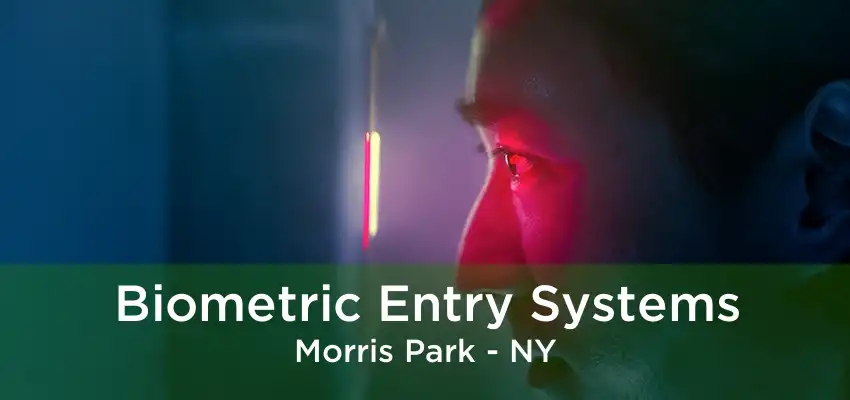 Biometric Entry Systems Morris Park - NY