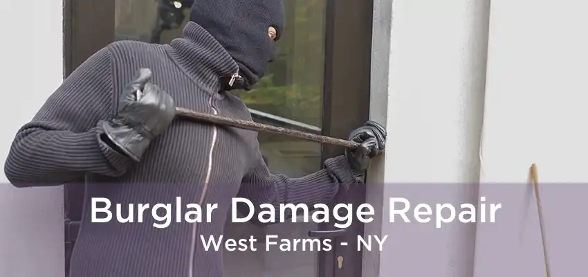 Burglar Damage Repair West Farms - NY