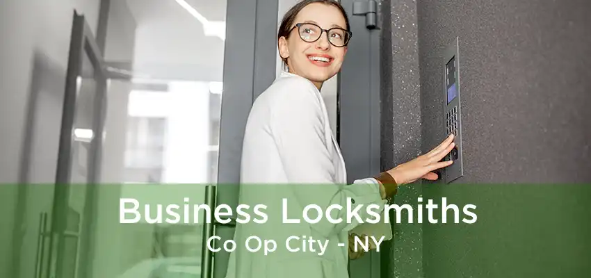 Business Locksmiths Co Op City - NY