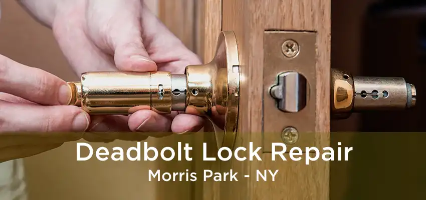 Deadbolt Lock Repair Morris Park - NY