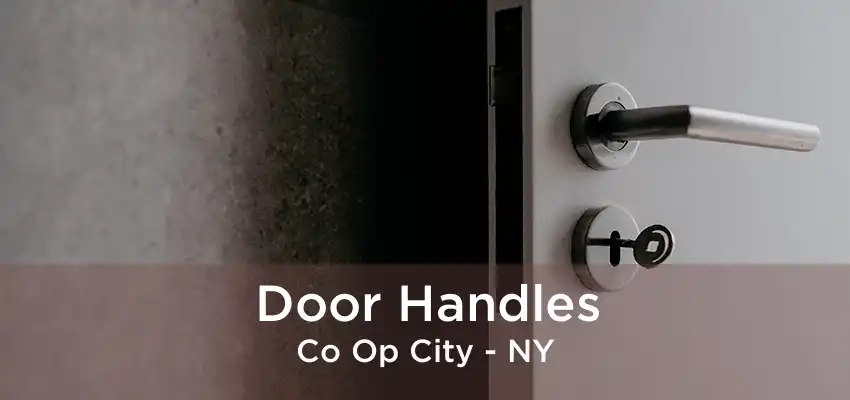 Door Handles Co Op City - NY