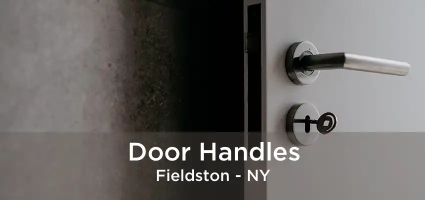 Door Handles Fieldston - NY