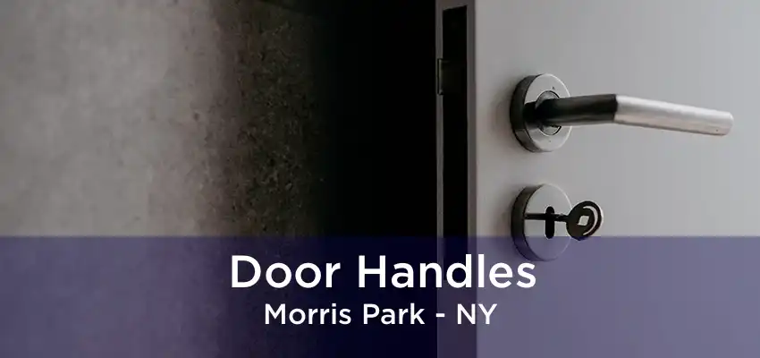 Door Handles Morris Park - NY