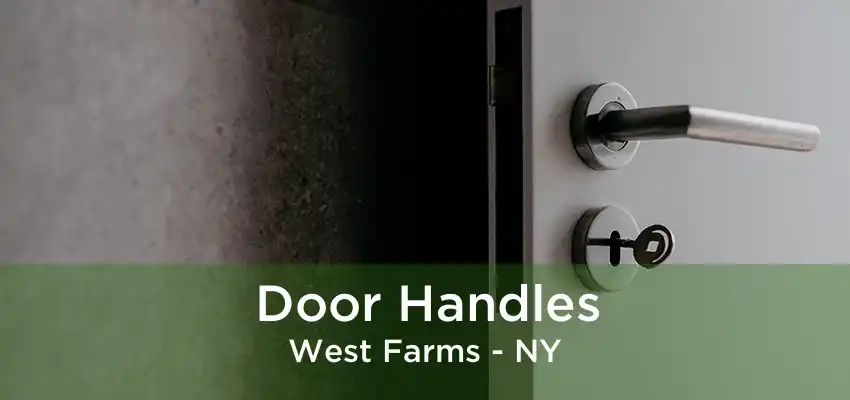 Door Handles West Farms - NY