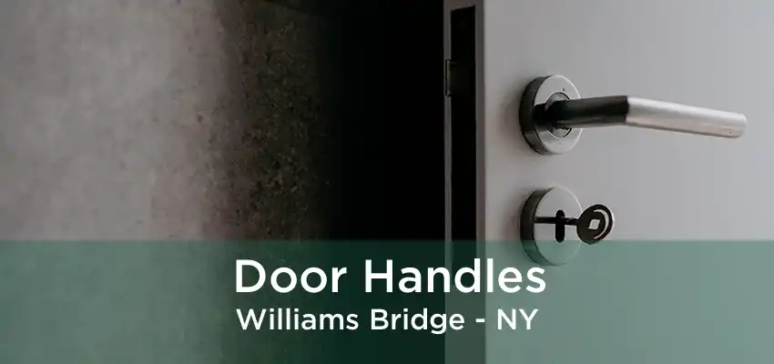 Door Handles Williams Bridge - NY