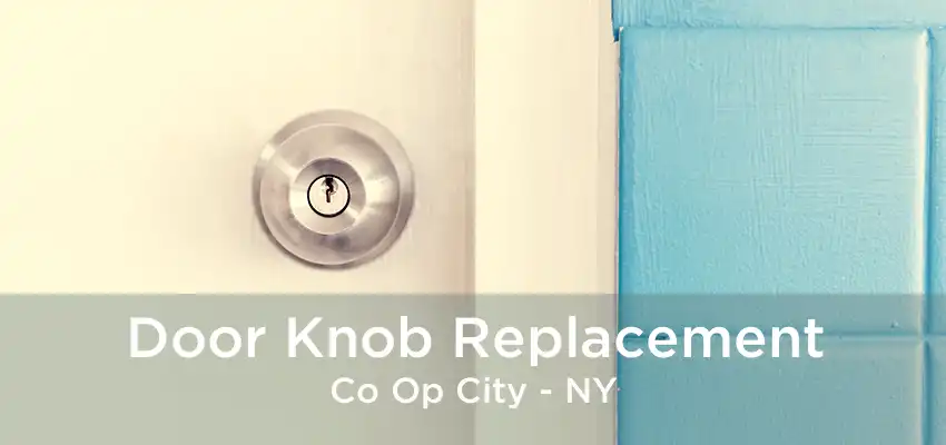 Door Knob Replacement Co Op City - NY