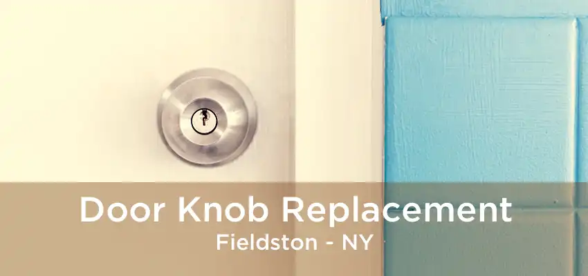 Door Knob Replacement Fieldston - NY