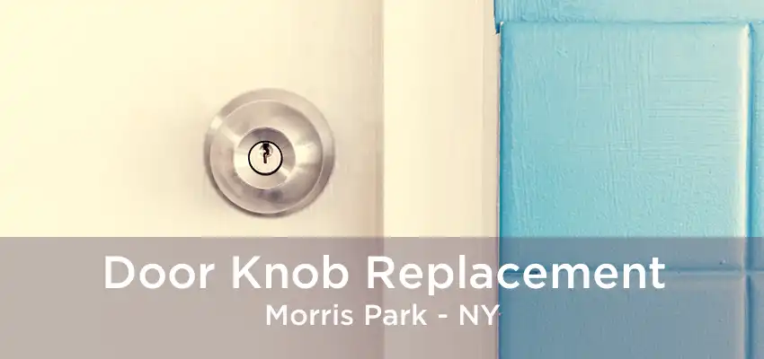 Door Knob Replacement Morris Park - NY