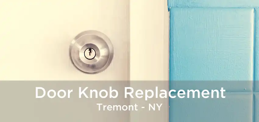 Door Knob Replacement Tremont - NY