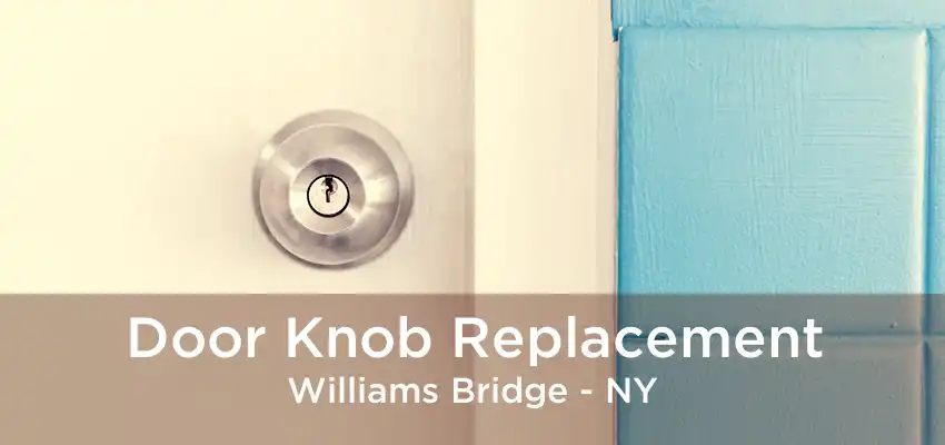 Door Knob Replacement Williams Bridge - NY