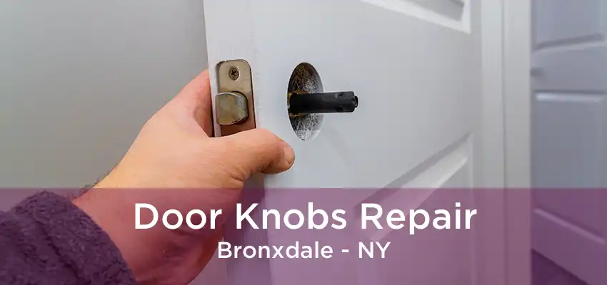 Door Knobs Repair Bronxdale - NY