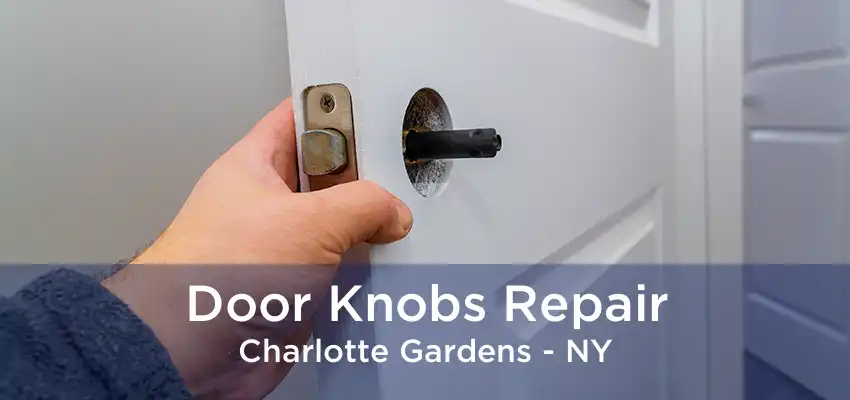 Door Knobs Repair Charlotte Gardens - NY