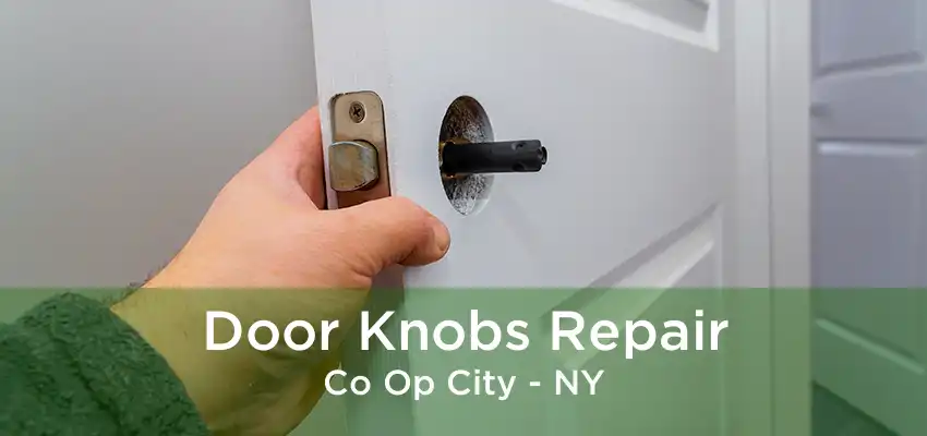 Door Knobs Repair Co Op City - NY