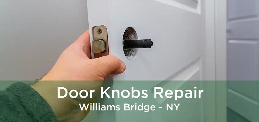 Door Knobs Repair Williams Bridge - NY