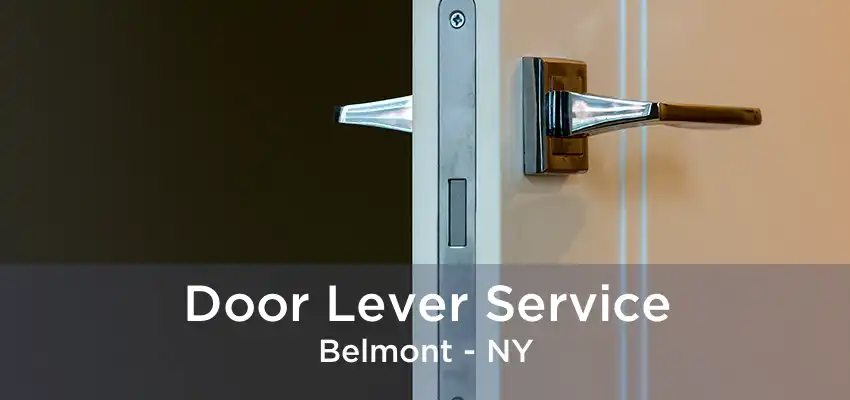 Door Lever Service Belmont - NY