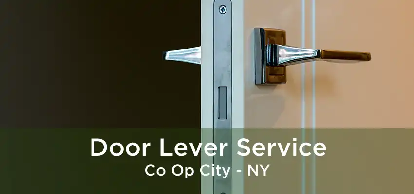 Door Lever Service Co Op City - NY