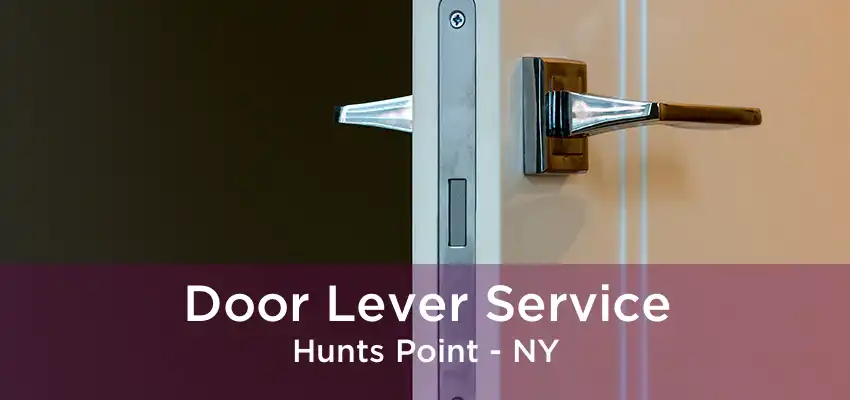 Door Lever Service Hunts Point - NY