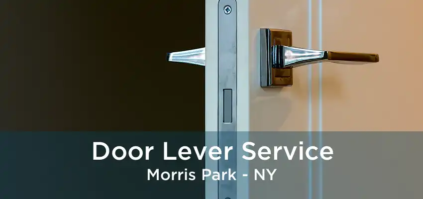 Door Lever Service Morris Park - NY