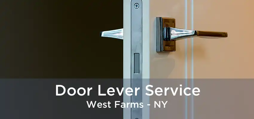 Door Lever Service West Farms - NY