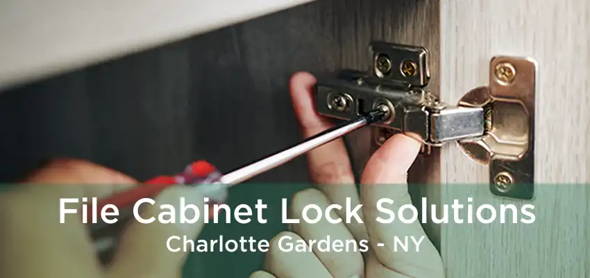 File Cabinet Lock Solutions Charlotte Gardens - NY