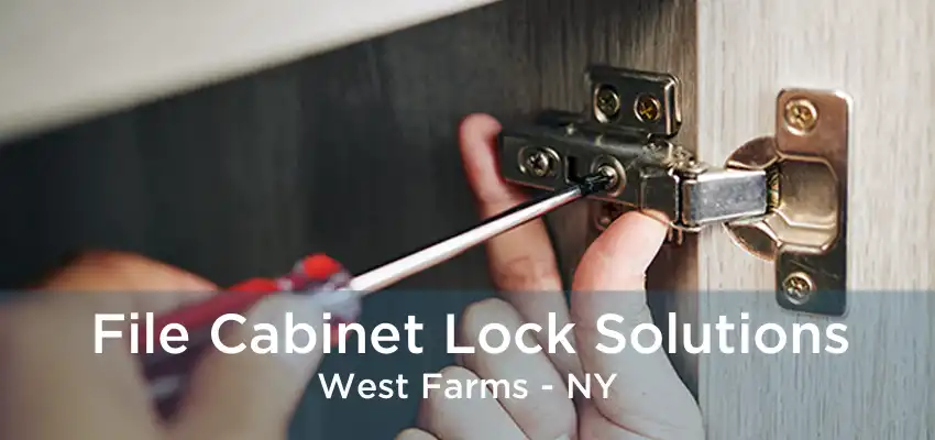 File Cabinet Lock Solutions West Farms - NY