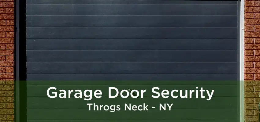 Garage Door Security Throgs Neck - NY