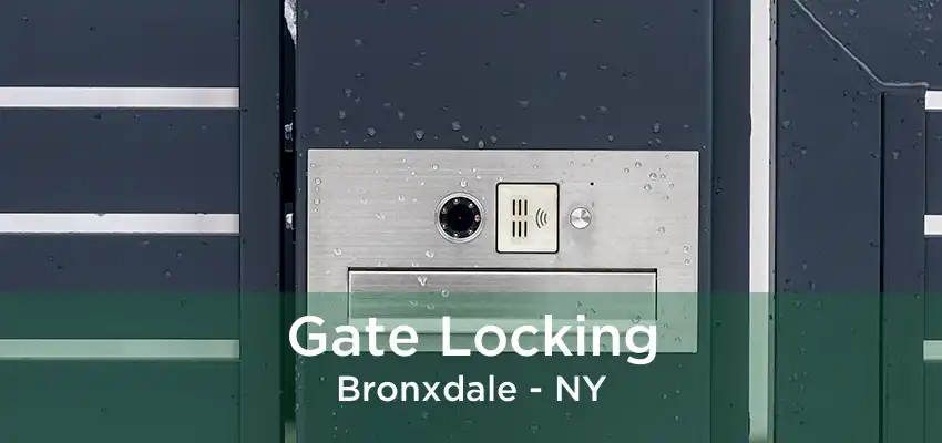 Gate Locking Bronxdale - NY