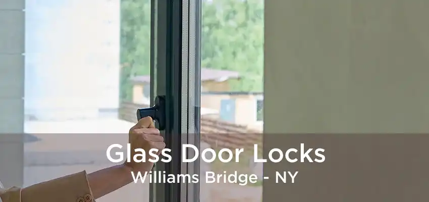 Glass Door Locks Williams Bridge - NY