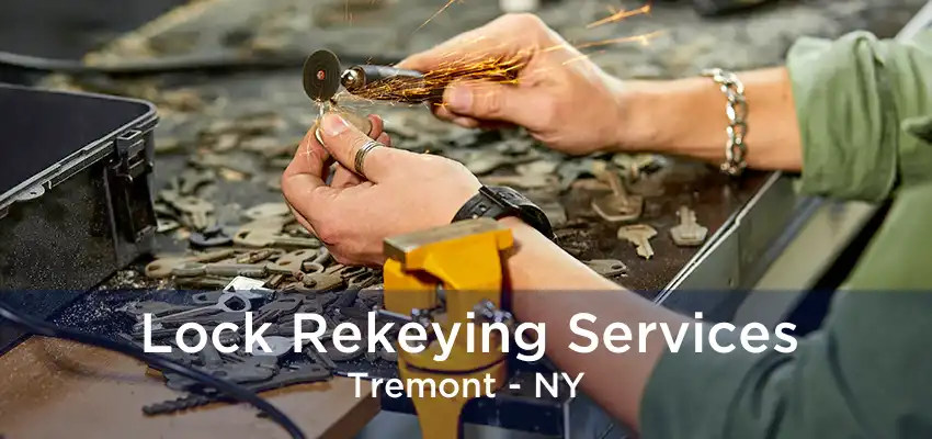 Lock Rekeying Services Tremont - NY