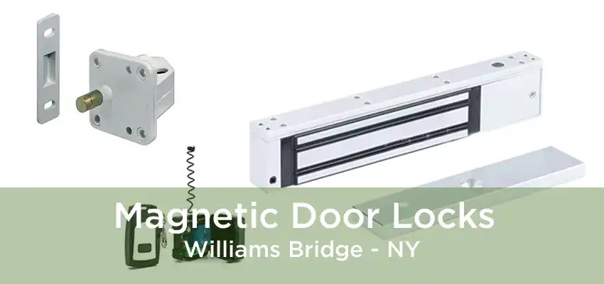 Magnetic Door Locks Williams Bridge - NY