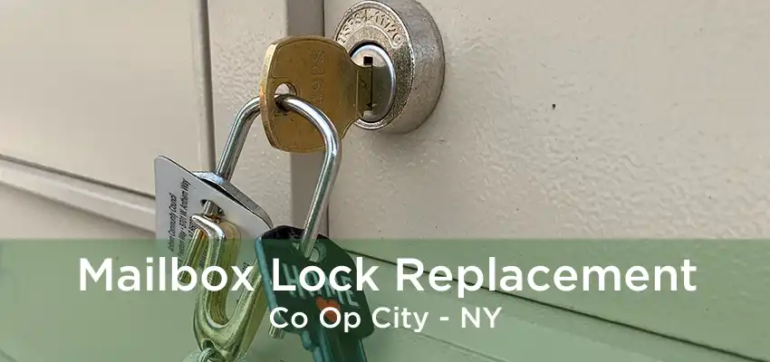 Mailbox Lock Replacement Co Op City - NY