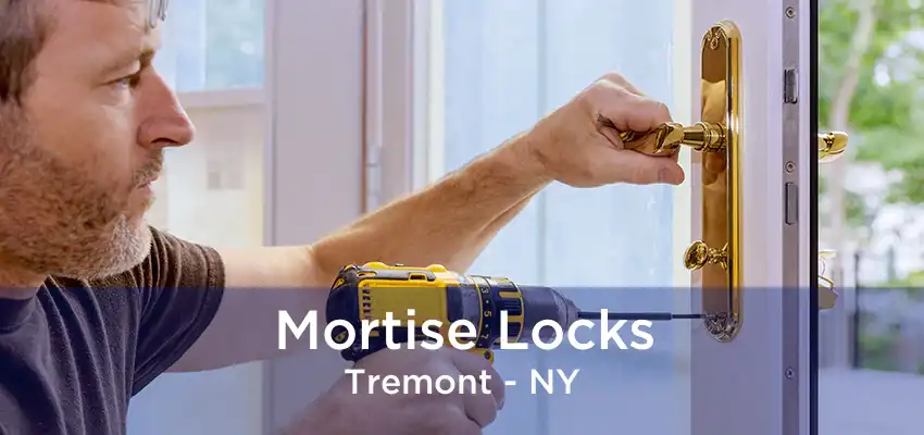 Mortise Locks Tremont - NY