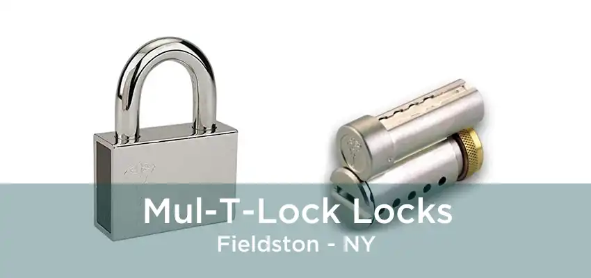 Mul-T-Lock Locks Fieldston - NY