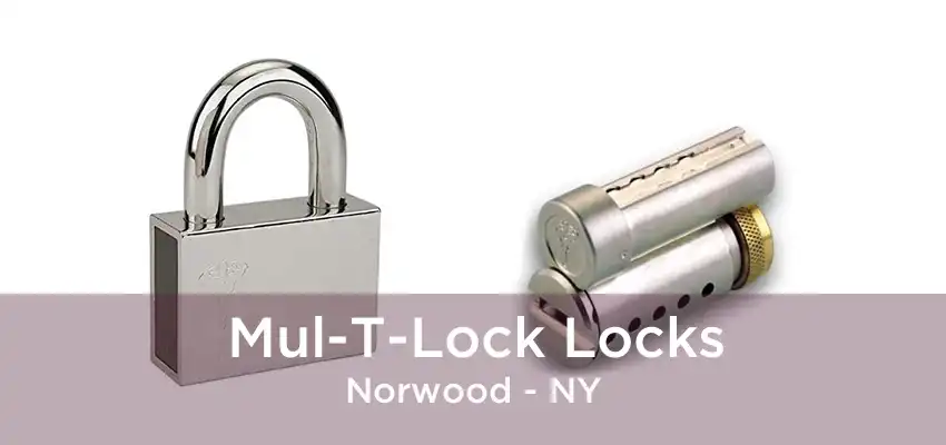 Mul-T-Lock Locks Norwood - NY