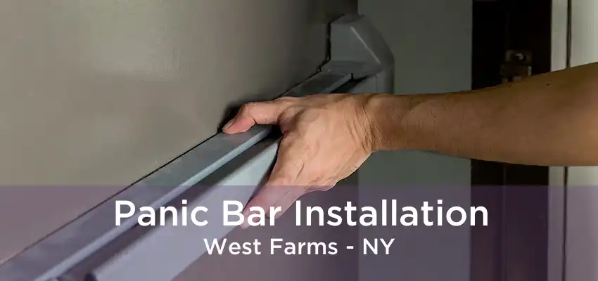 Panic Bar Installation West Farms - NY