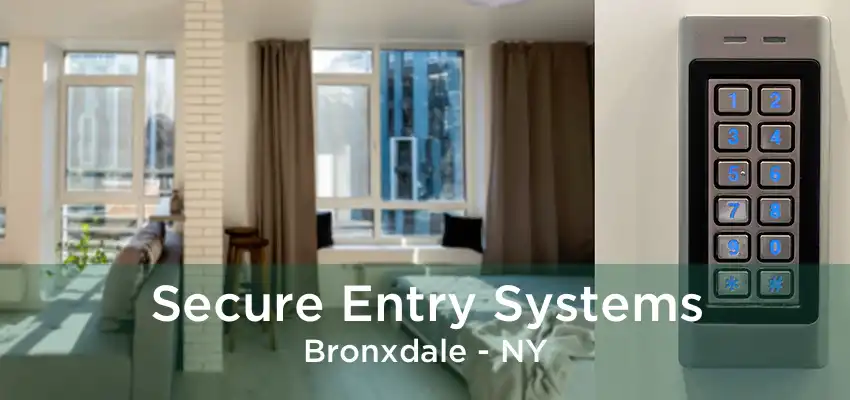 Secure Entry Systems Bronxdale - NY