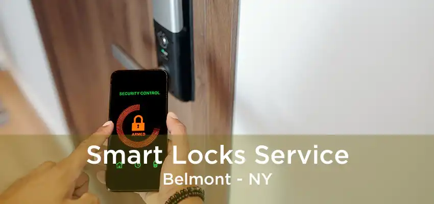 Smart Locks Service Belmont - NY