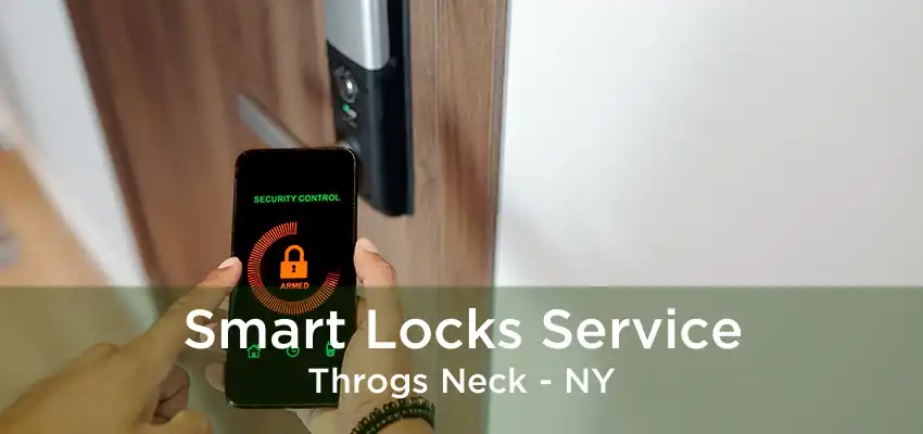 Smart Locks Service Throgs Neck - NY