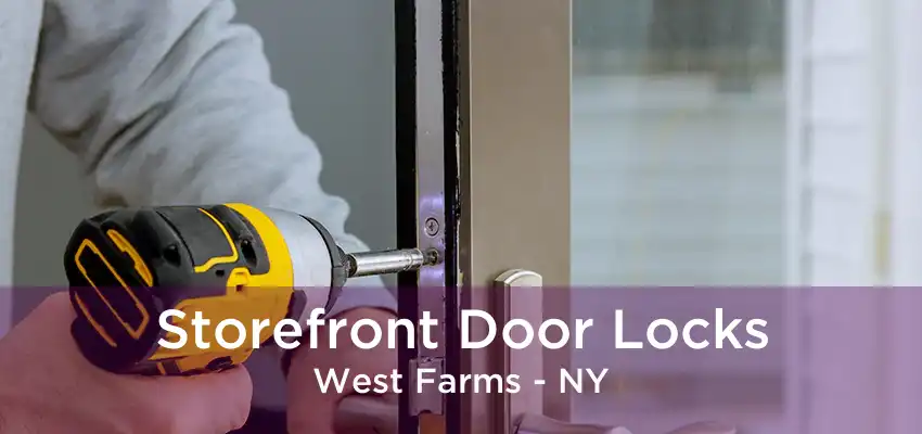 Storefront Door Locks West Farms - NY